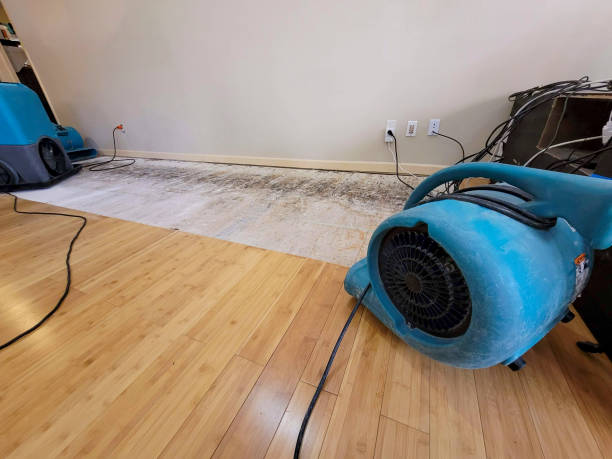Reliable Basement Flood Cleanup contractor in Meridian, CO by Hirex Water Damage