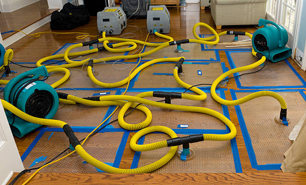 Professional Basement Flood Cleanup technician working in Meridian, CO